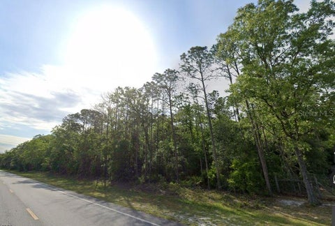 Photo of NE Hwy 351, Old Town, FL 32680 (MLS # A4705786)