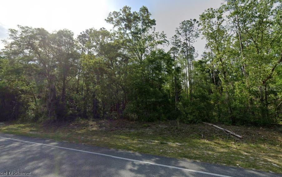 Photo of NE Hwy 351, Old Town, FL 32680 (MLS # A4705786)
