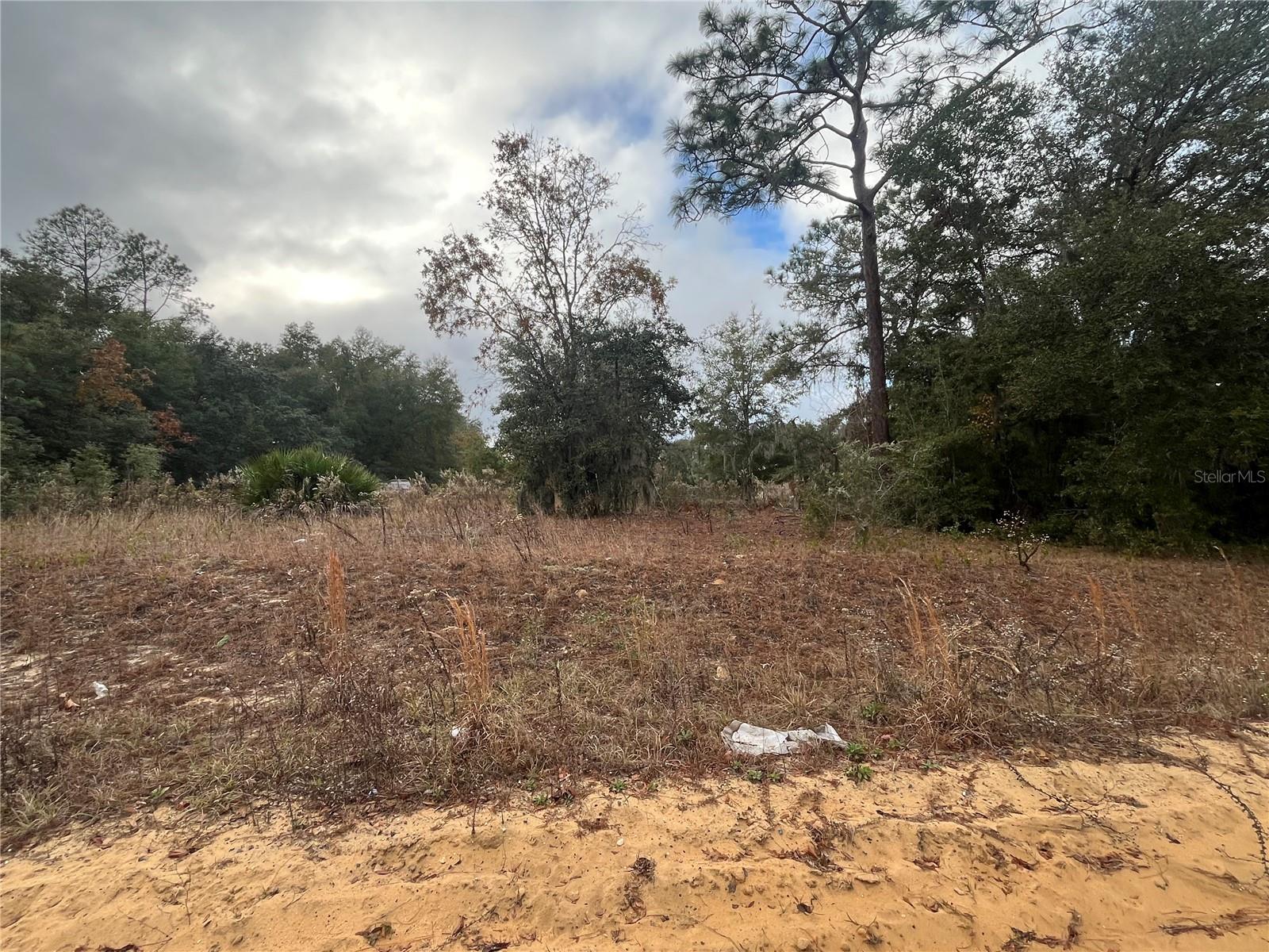 INTERLACHEN LAKES ESTATES - Land