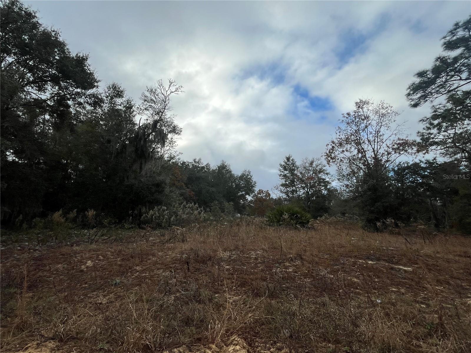 INTERLACHEN LAKES ESTATES - Land