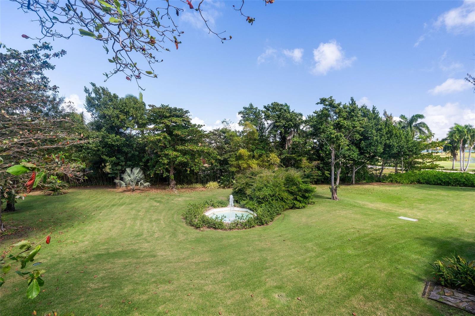 DORADO BEACH ESTATES - Residential