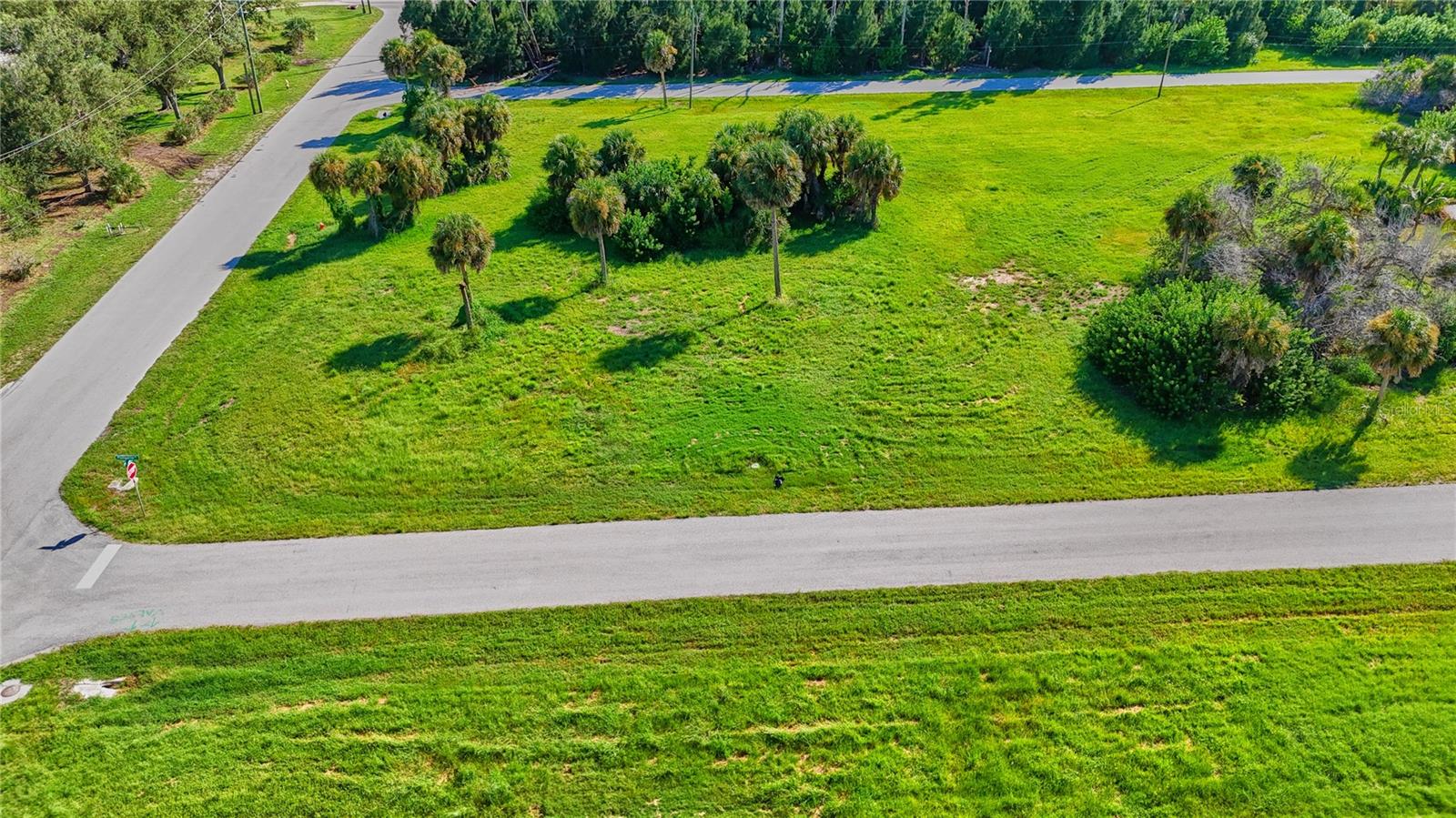 CAPE HAZE EAST - Land