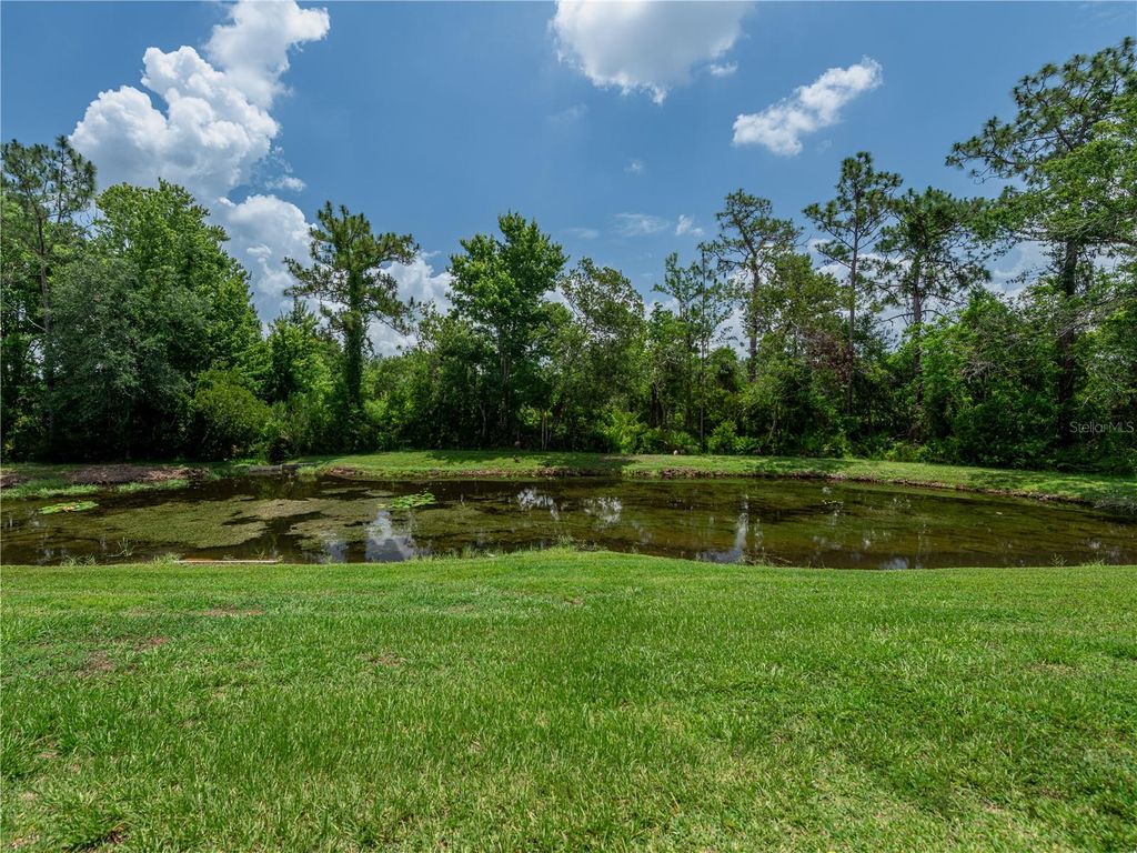 Photo of 19137 Lake Audubon Drive, Tampa, FL 33647 (MLS # TB8388275)