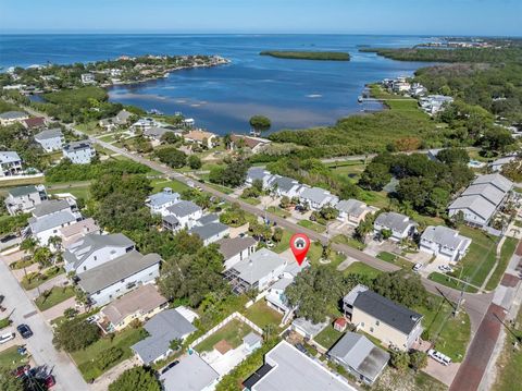 A home in PALM HARBOR