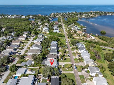 A home in PALM HARBOR