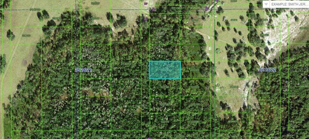 Photo of Commonwealth Ave N Avenue N, Polk City, FL 33868 (MLS # O6264131)