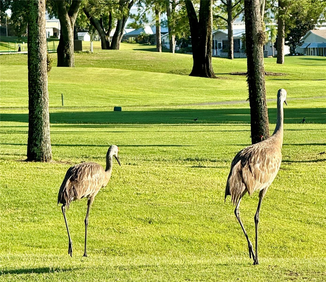 DEER CREEK GOLF & TENNIS RV RESORT PH 01 - Residential