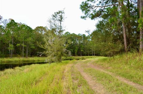 ODESSA ODESSA FL 33556