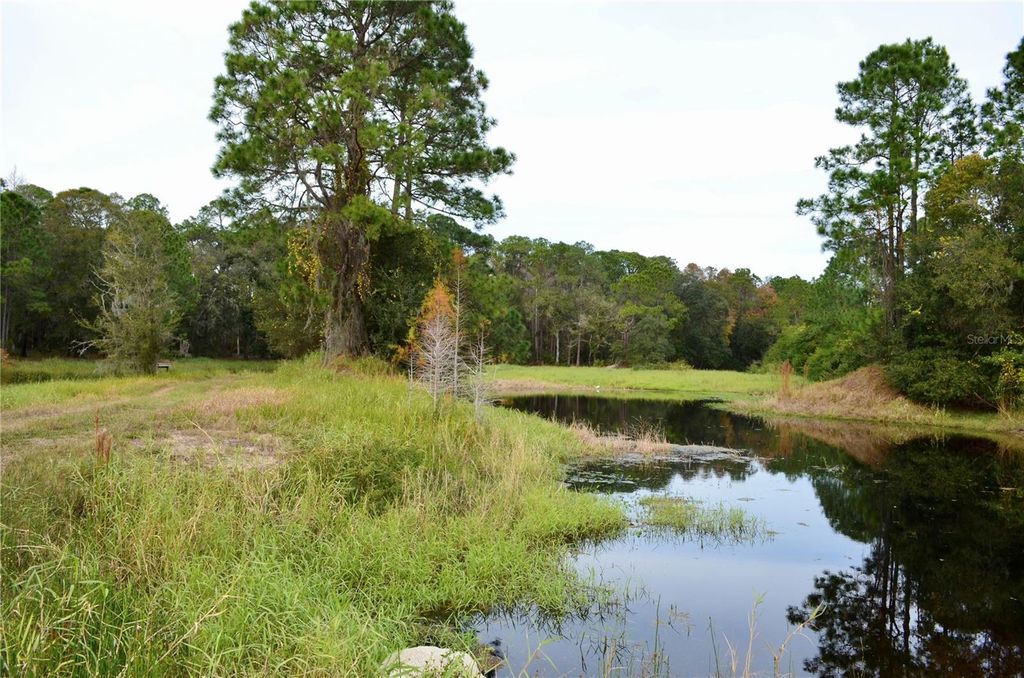 Photo of Odessa, Odessa, FL 33556 (MLS # TB8349500)