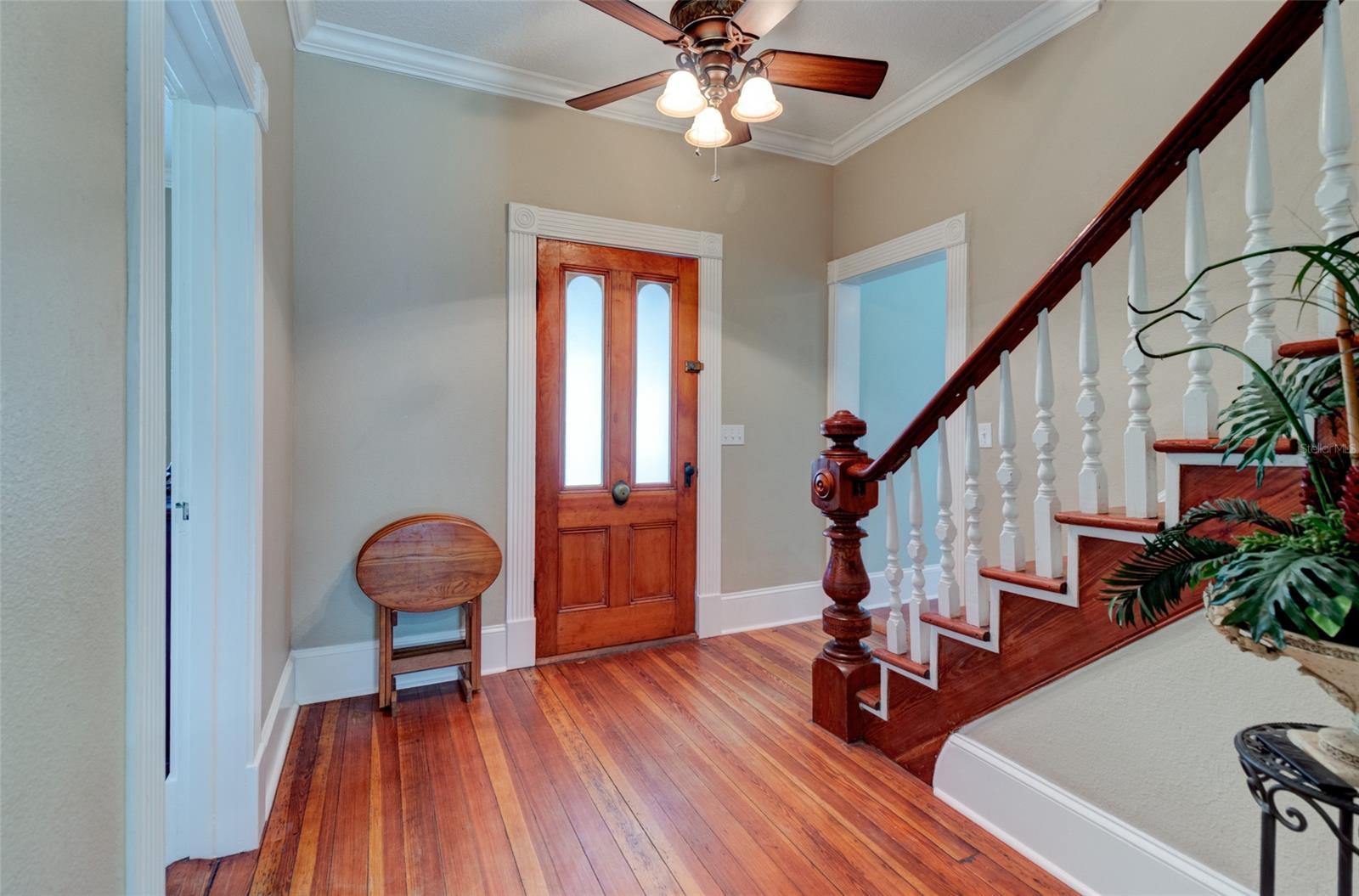 Daughertys New Smyrna - Residential