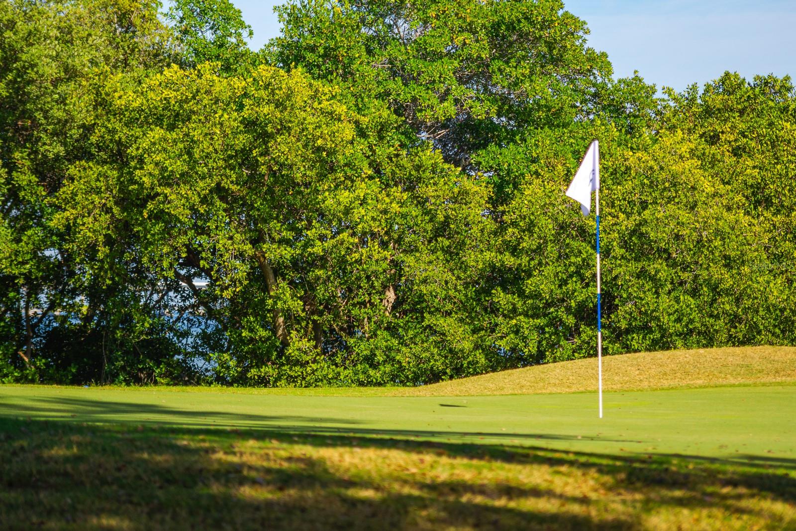 COVE CAY 26-16 VILLAGE I - Residential