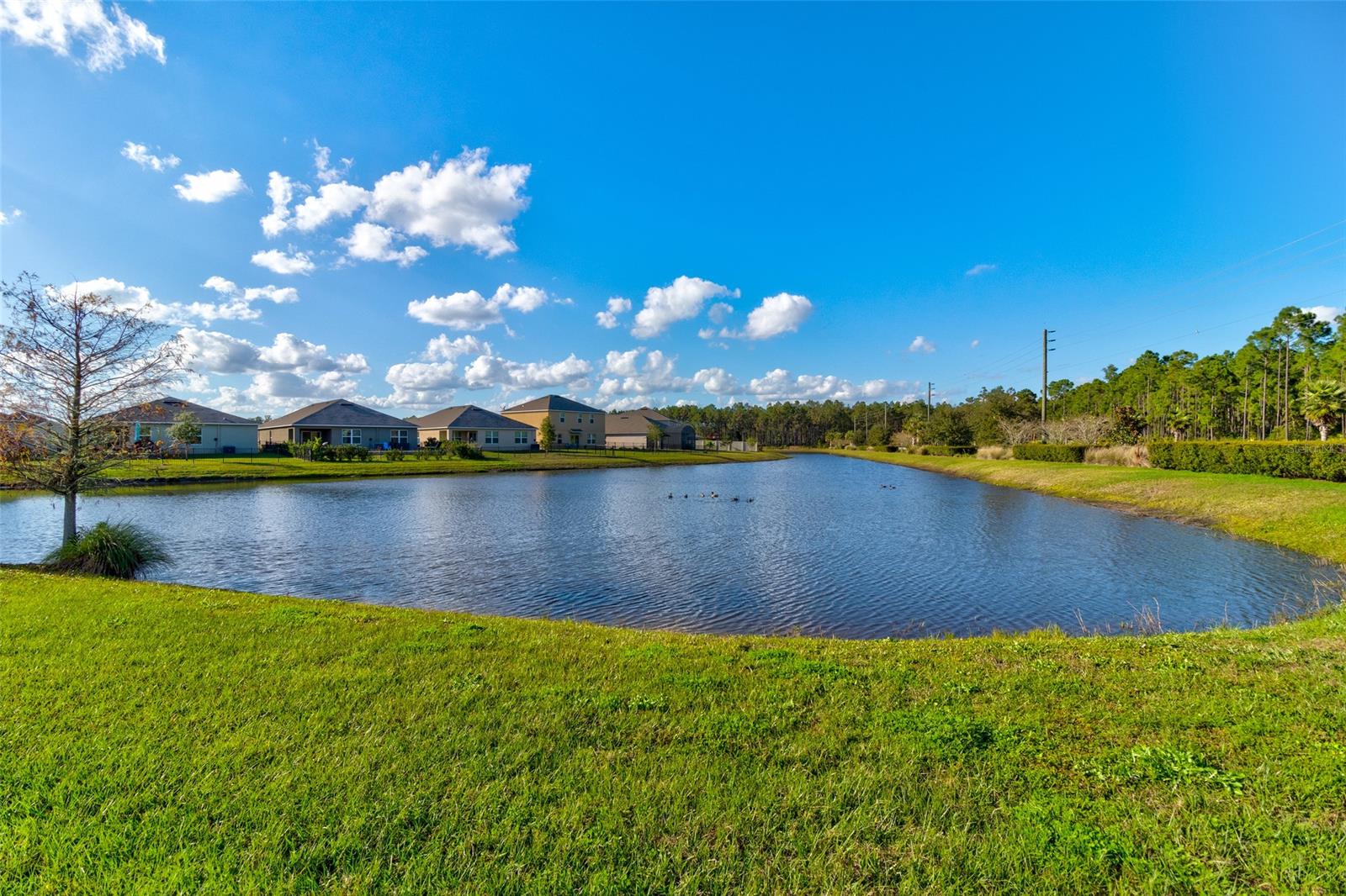 Hawks Preserve/Port Orange Pla - Residential