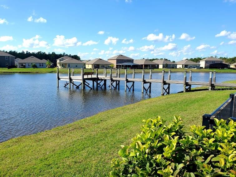 Hawks Preserve/Port Orange Pla - Residential