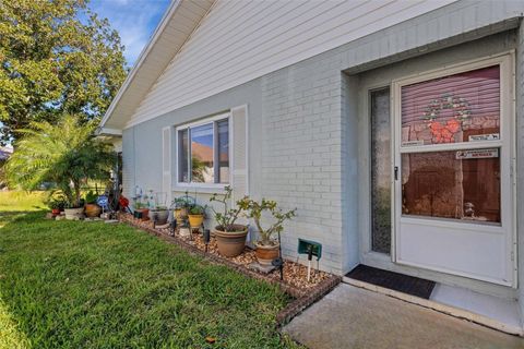 A home in PALM HARBOR