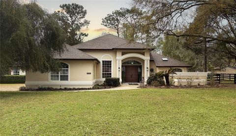Photo of 6270 NE 49th Street, Silver Springs, FL 34488 (MLS # O6389894)