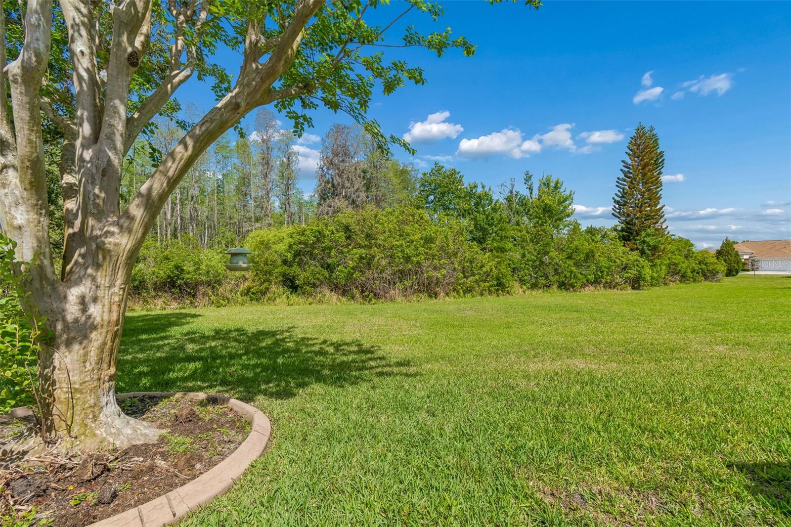 GROVES PH 01A - Residential