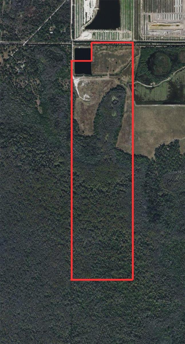 Exceptional 156.33+/- acre property located in Charlotte County. This large tract of land would make an exceptional investment for agricultural use or recreational enjoyment. Located off of State Road 31, the property offers easy access south into Fort Myers and allows for convenient East/West travel on Bermont road.