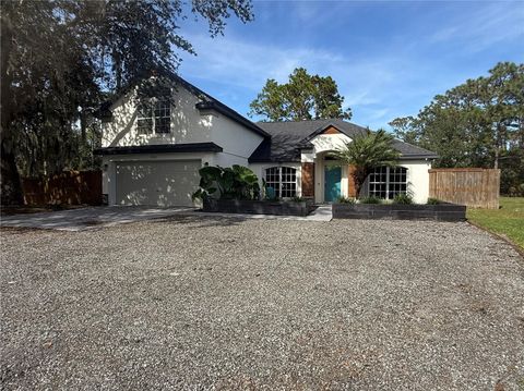 Photo of 19509 Sheldon Street, Orlando, FL 32833 (MLS # O6359481)