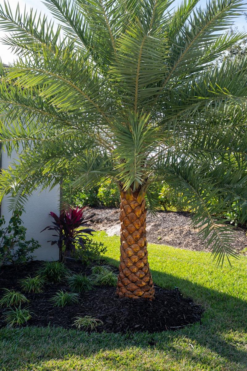 PARK EAST AT AZARIO PH I SUBPH A & B - Residential