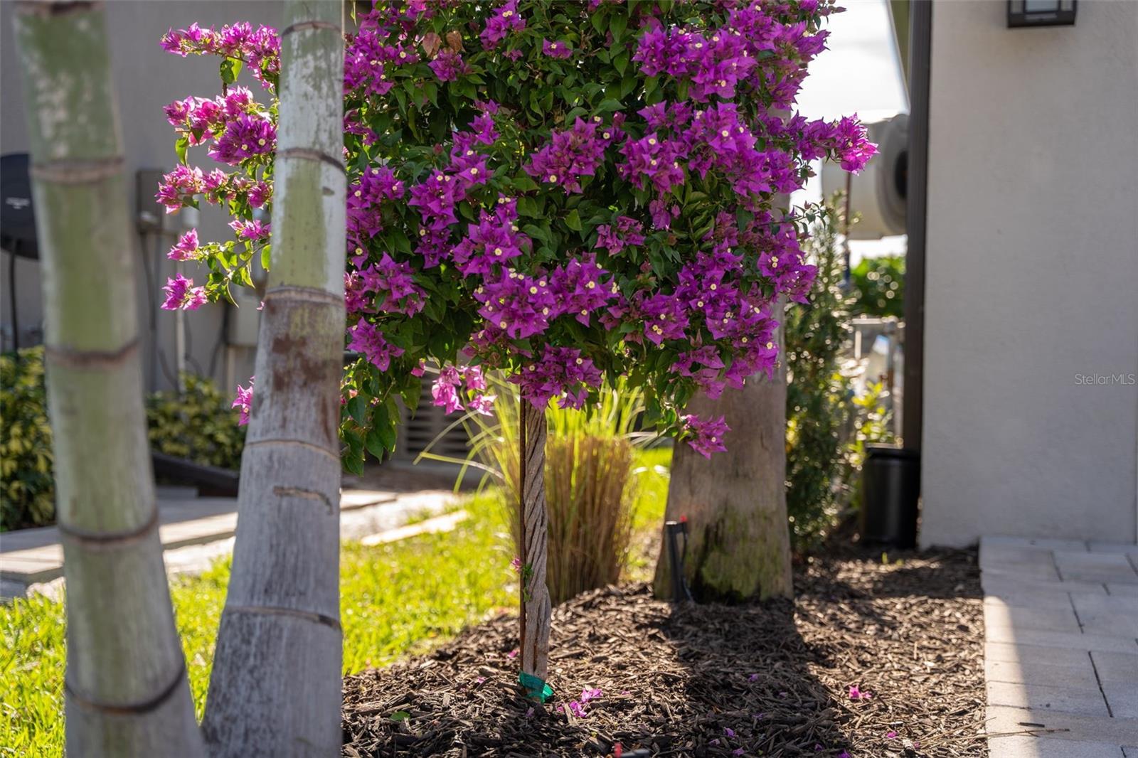 PARK EAST AT AZARIO PH I SUBPH A & B - Residential