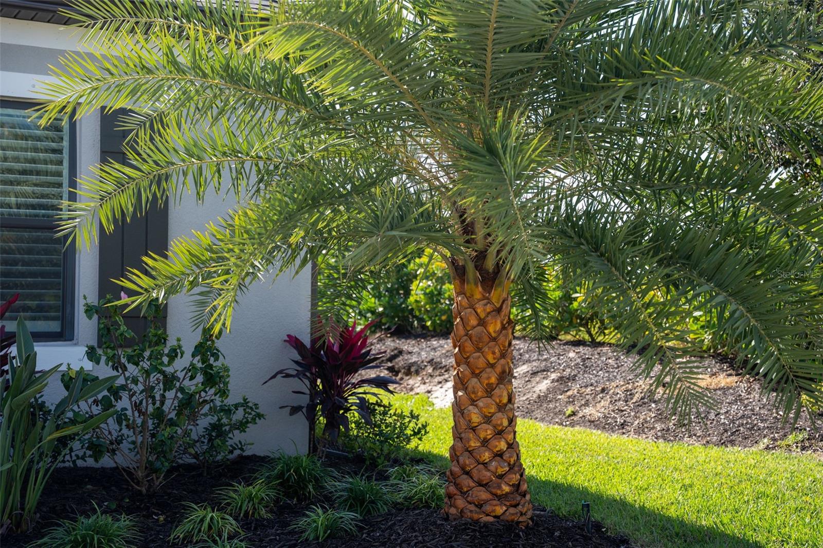 PARK EAST AT AZARIO PH I SUBPH A & B - Residential