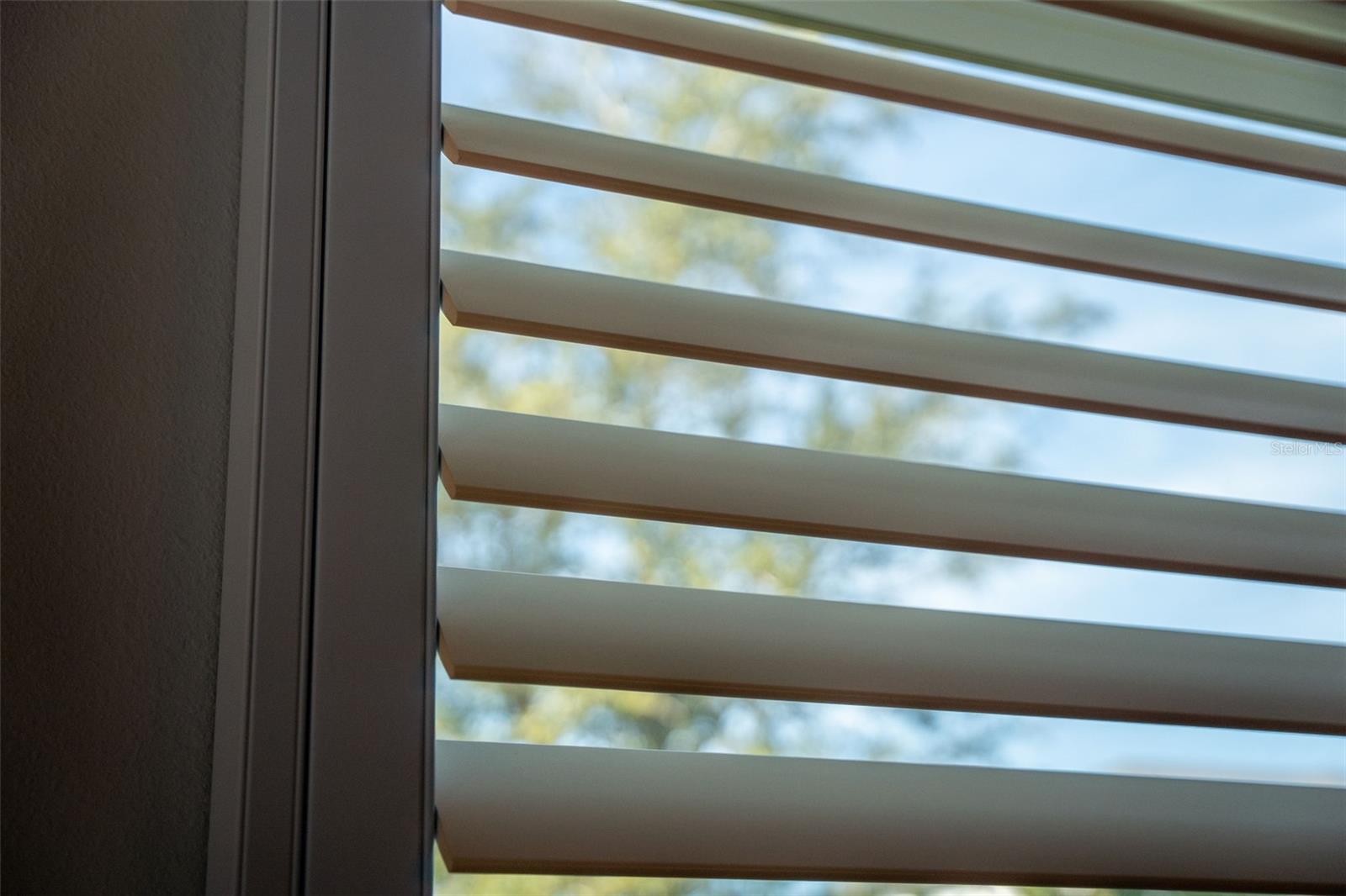 PARK EAST AT AZARIO PH I SUBPH A & B - Residential