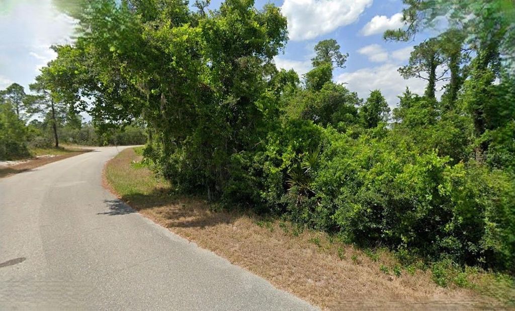 Photo of 623 Cunningham Street, Lake Placid, FL 33852 (MLS # O6285209)