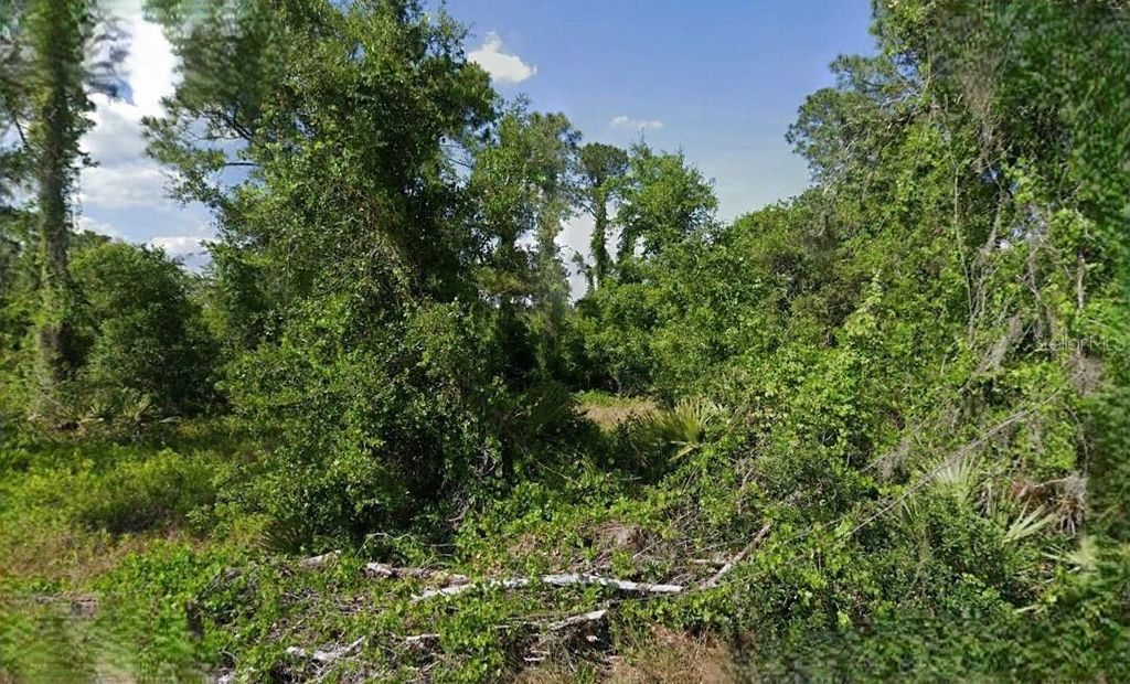 Photo of 623 Cunningham Street, Lake Placid, FL 33852 (MLS # O6285209)