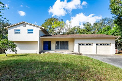 A home in TEMPLE TERRACE