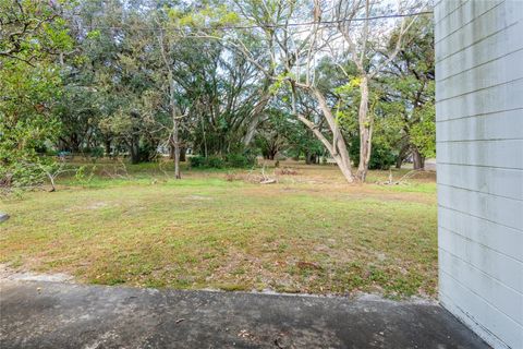 A home in TEMPLE TERRACE