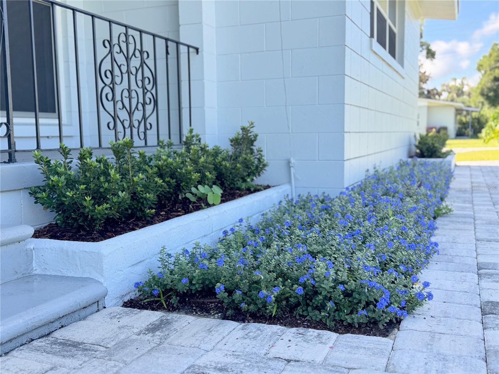 RENLEE TERRACE - Residential Lease