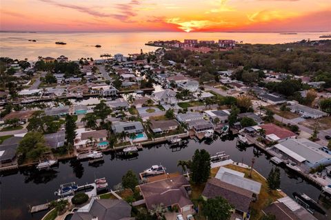 A home in PALM HARBOR