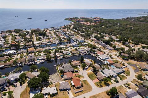 A home in PALM HARBOR