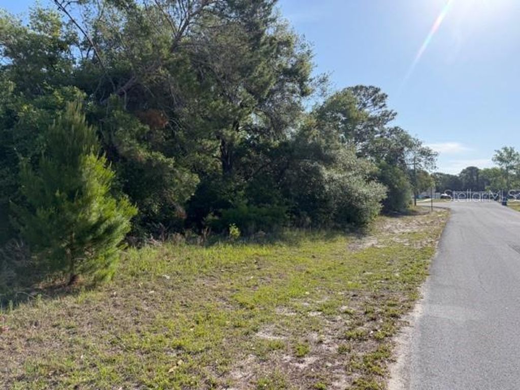 Photo of 4205 Parkhurst Lane, Spring Hill, FL 34608 (MLS # W7885029)