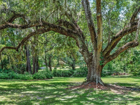 Tiny photo for 4200 SW 7th Ave Road, Ocala, FL 34471 (MLS # OM729193)