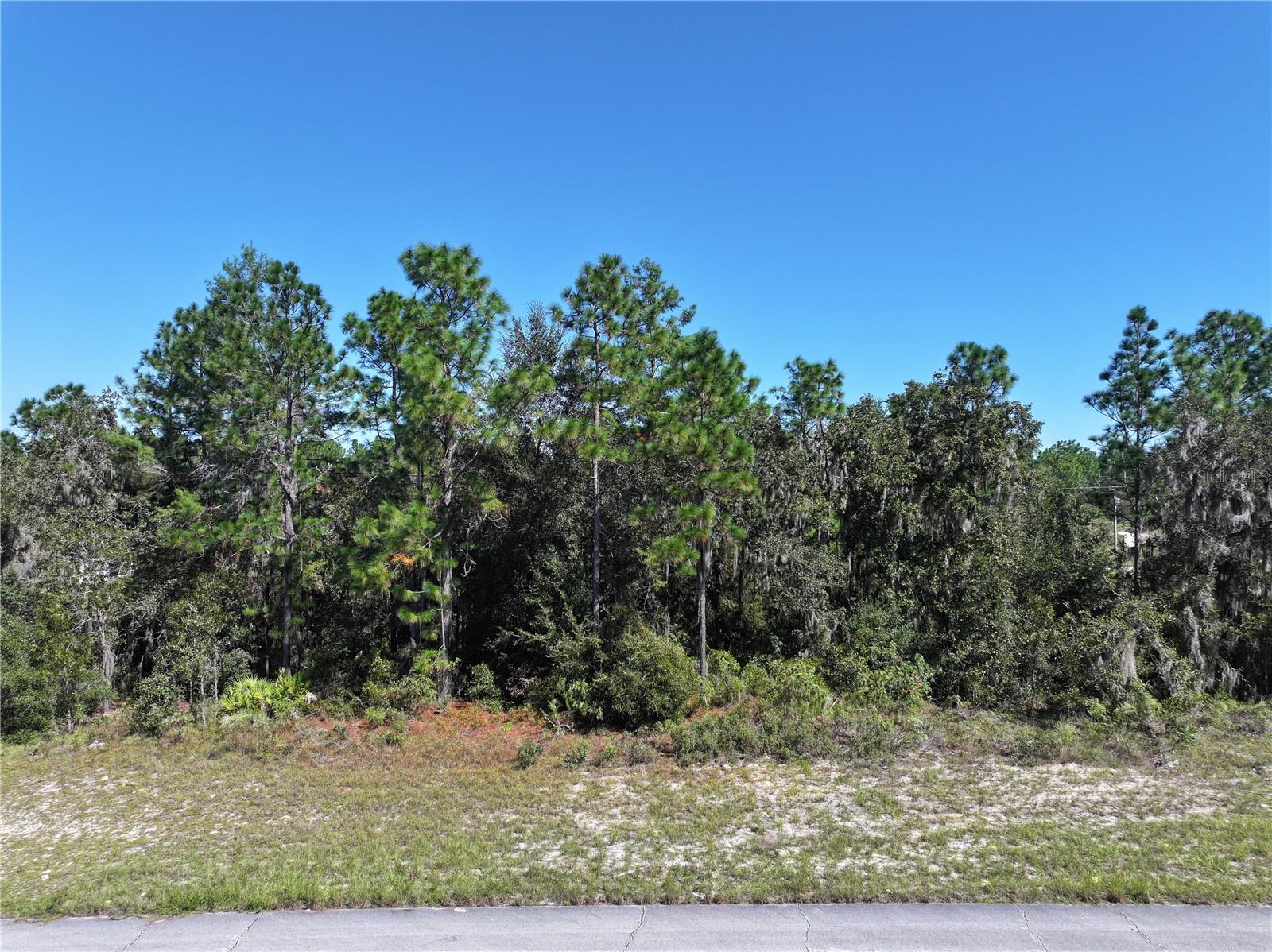 SW 139TH PLACE ROAD