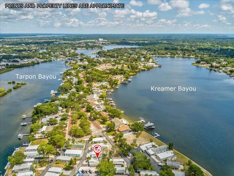 A home in TARPON SPRINGS