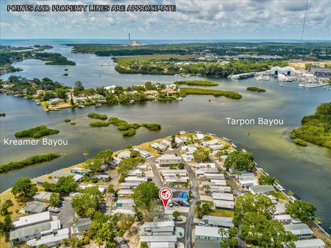 A home in TARPON SPRINGS