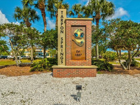 A home in TARPON SPRINGS