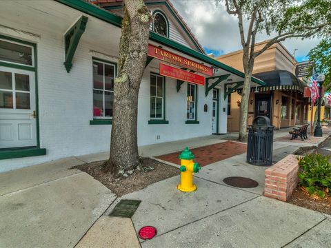 A home in TARPON SPRINGS