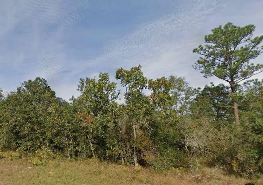 Tucked away in the tranquil community of Sunny Hills, this residential lot offers a great opportunity to build in a peaceful, natural setting with convenient access to local lakes, trails, and the public golf course. Positioned along a quiet paved road in a developing area, this lot is well-suited for a future homesite or investment. The seller is also offering additional lots in Washington and Putnam Counties and is open to discounted pricing for buyers interested in purchasing multiple properties. All information is deemed reliable but should be independently verified.