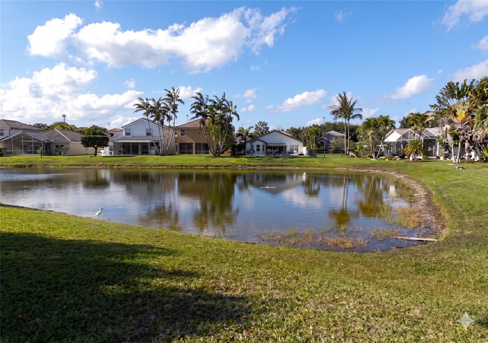 ORANGE POINT - Residential