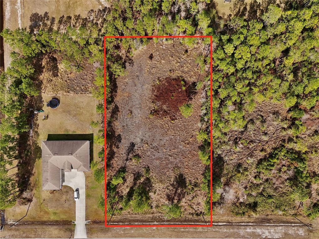 Photo of 19115 Meredith Parkway, Orlando, FL 32833 (MLS # O6381353)