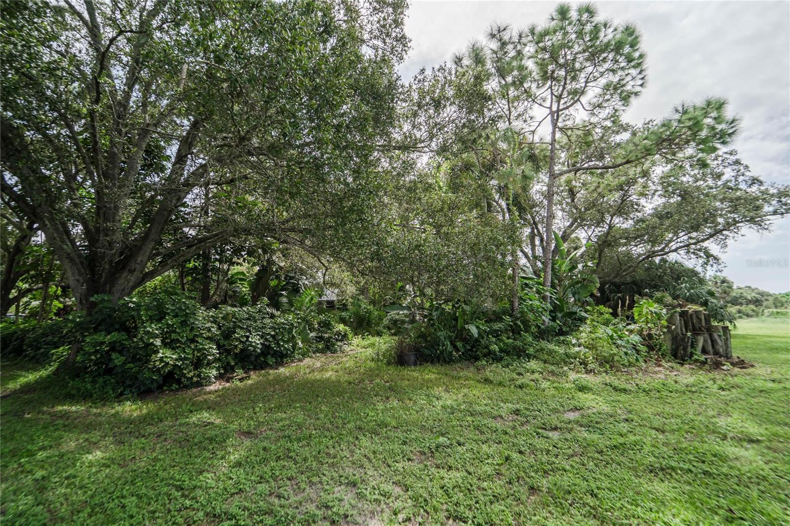 BAYVIEW TERRACE ROY SCOTTS - Land