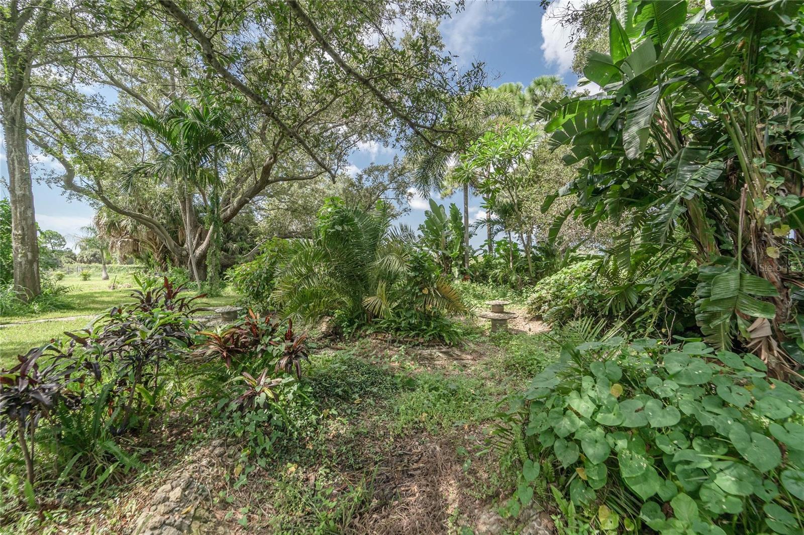 BAYVIEW TERRACE ROY SCOTTS - Land