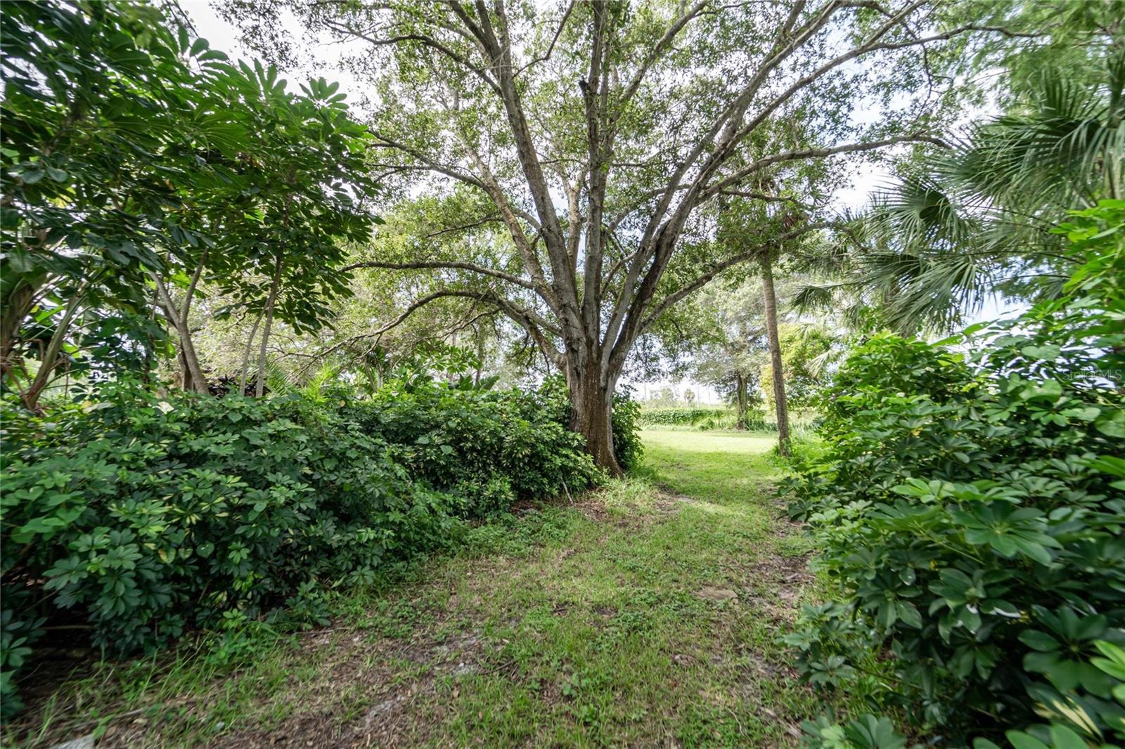 BAYVIEW TERRACE ROY SCOTTS - Land