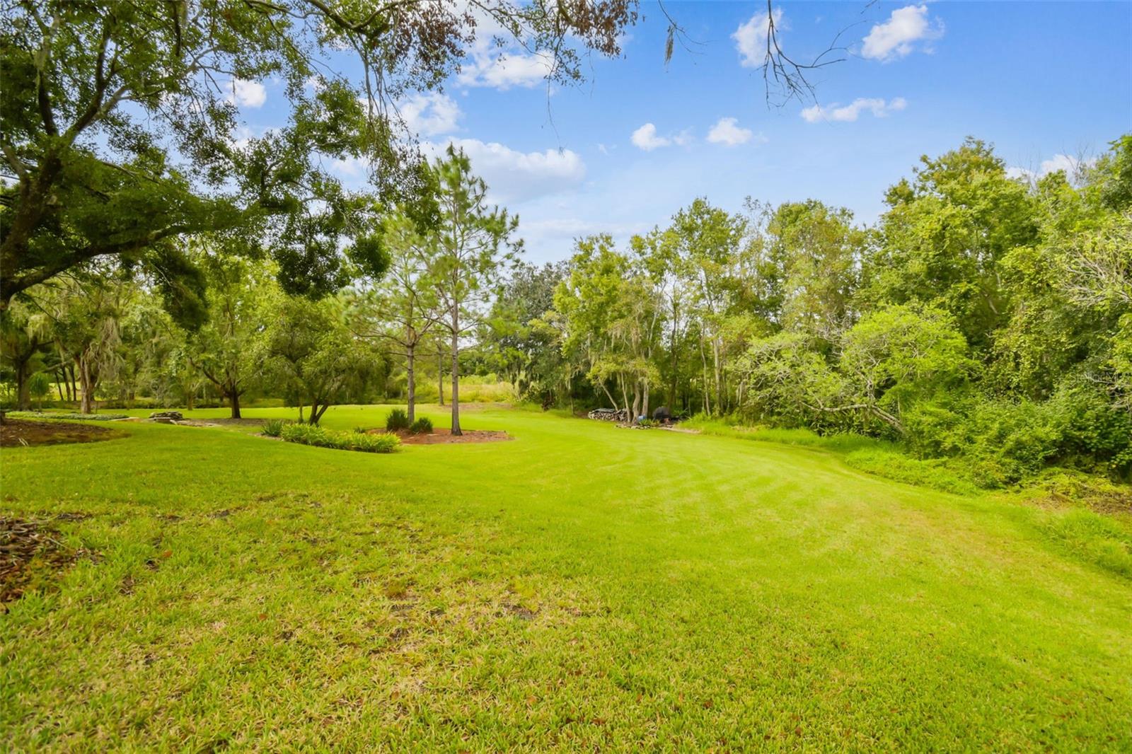 THE TRAILS AT VAN DYKE FARMS - Residential