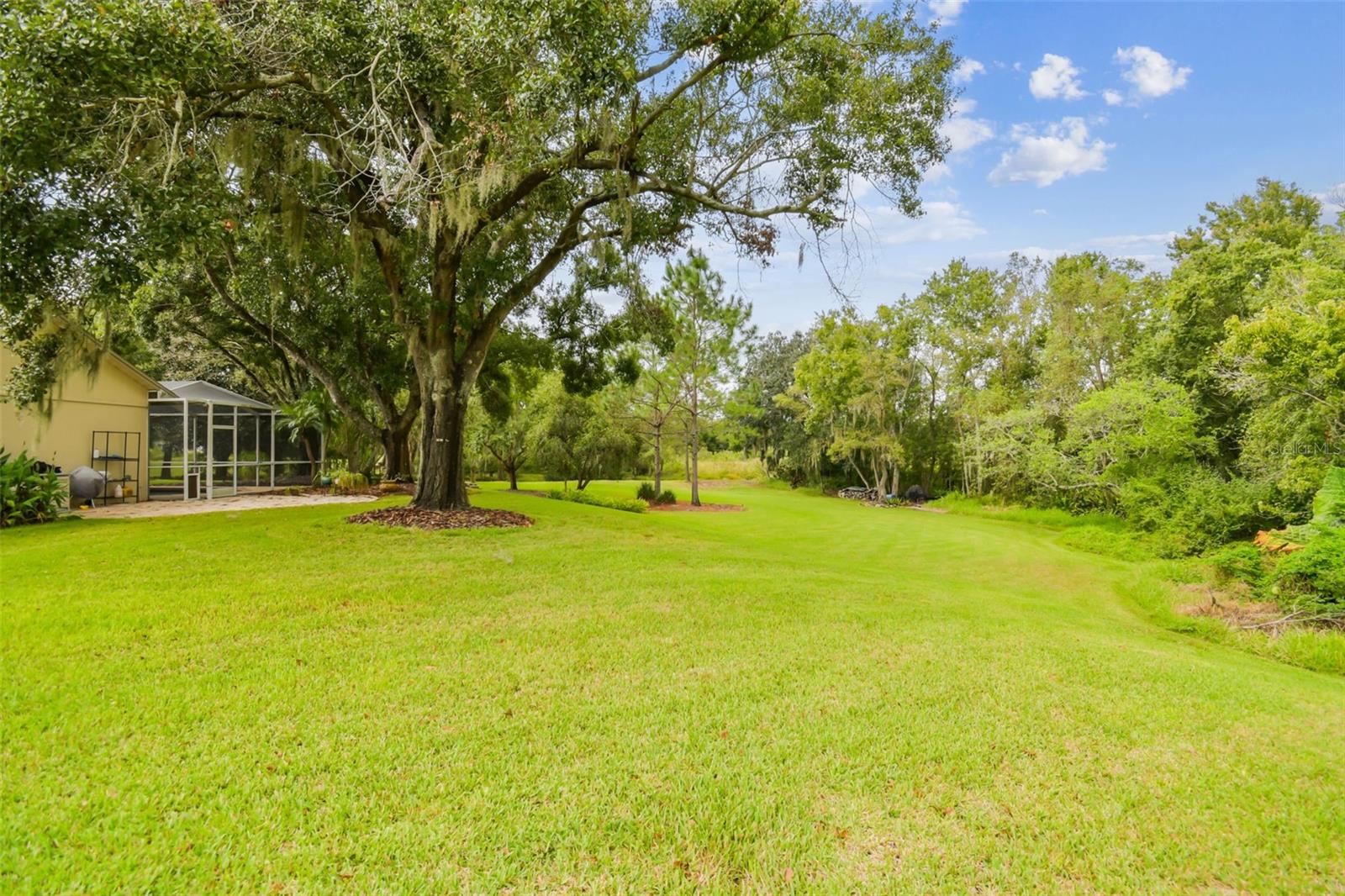 THE TRAILS AT VAN DYKE FARMS - Residential