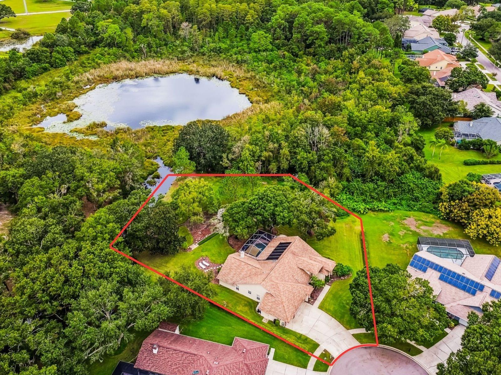 THE TRAILS AT VAN DYKE FARMS - Residential