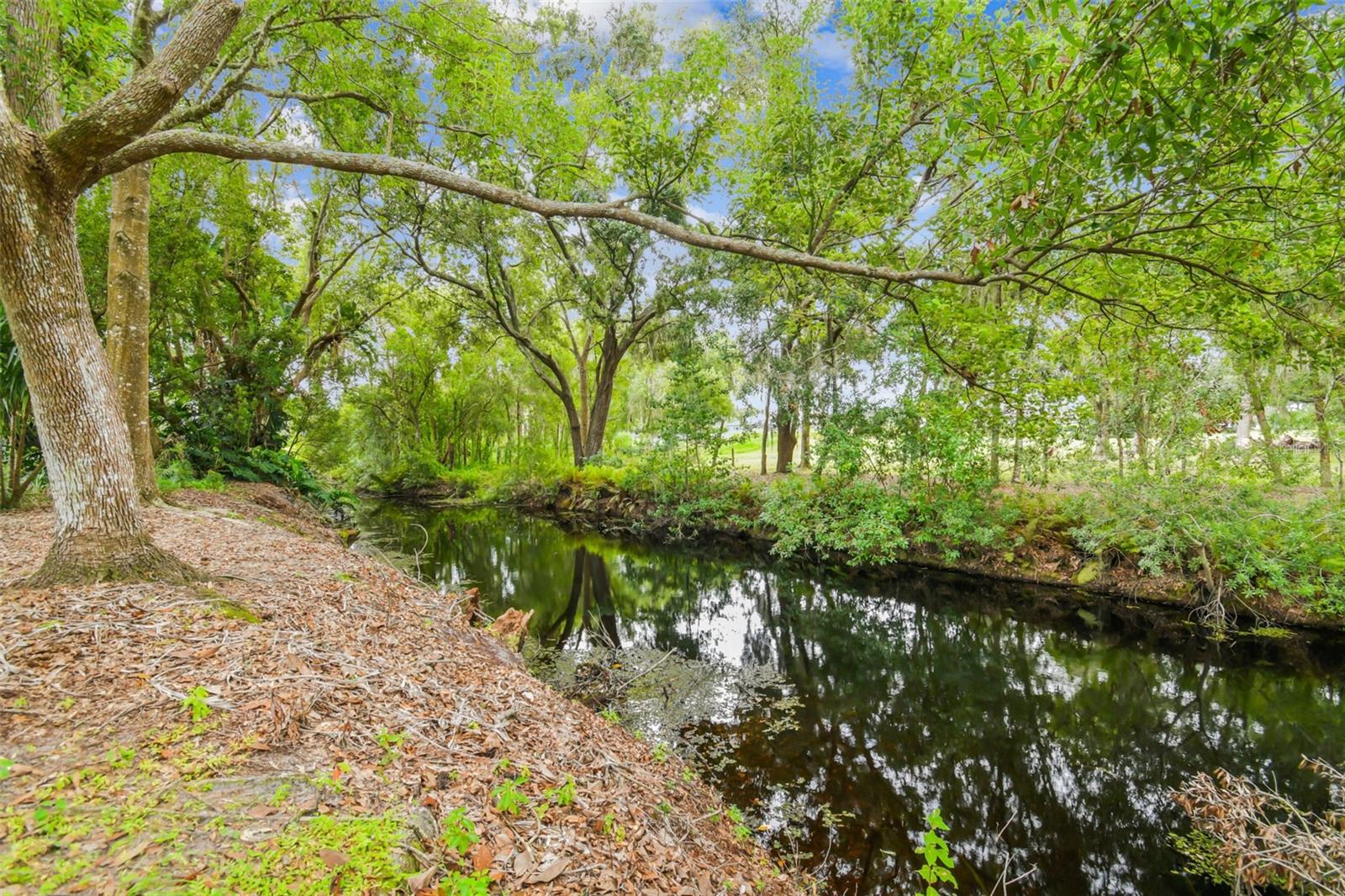 THE TRAILS AT VAN DYKE FARMS - Residential